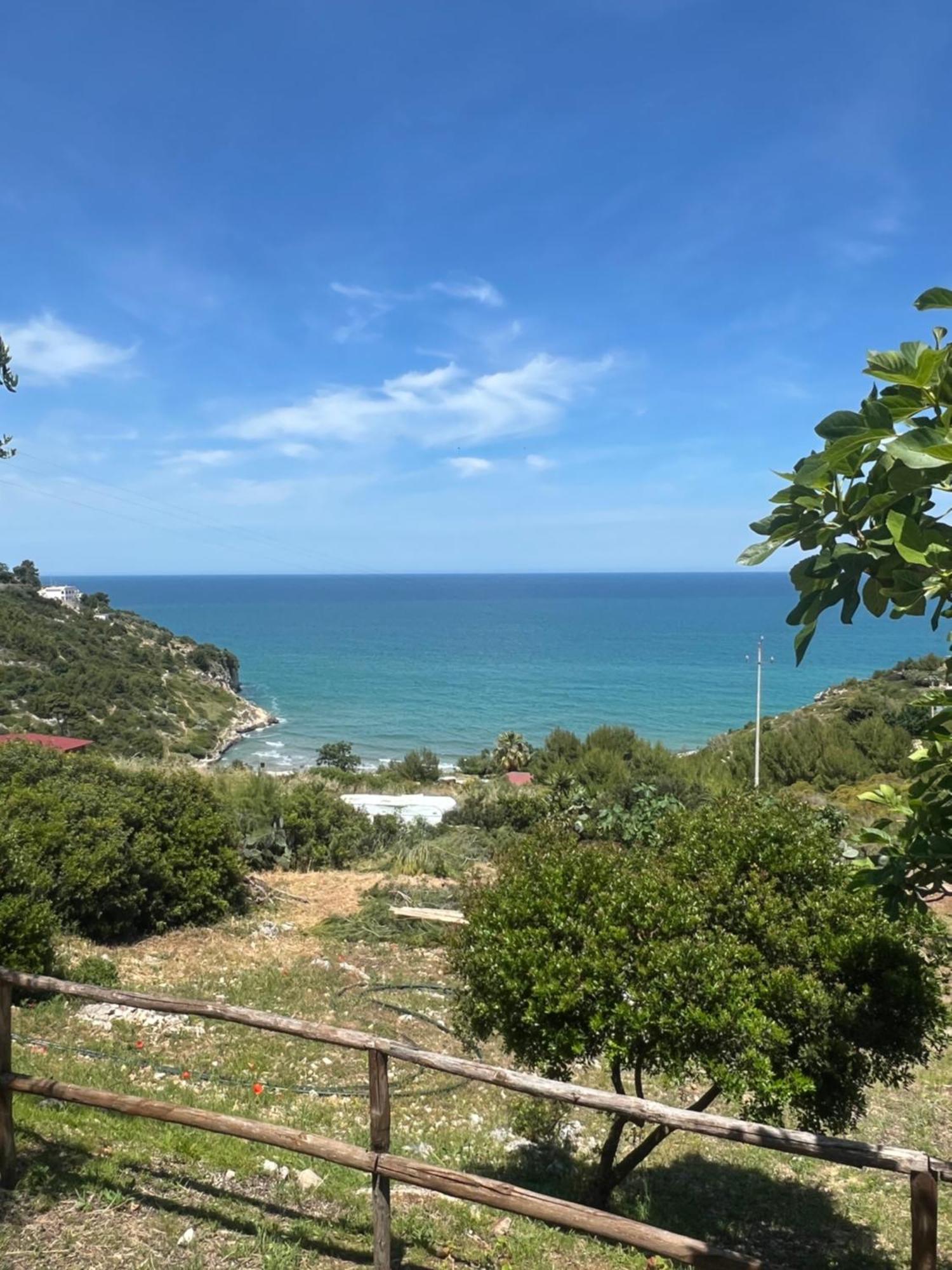 Trilocale 2 Sul Mare Apartman Peschici Kültér fotó
